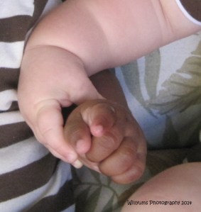 ???????????????????????????????