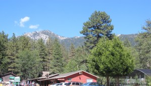 Idyllwild