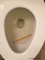 Typical evening pencil battle